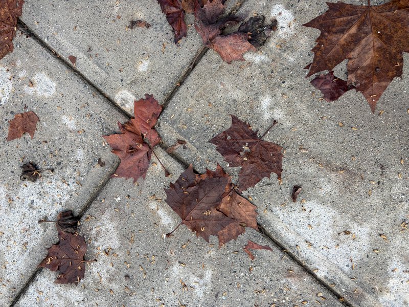 Preview of 0019-jpeg-e389492897114b62