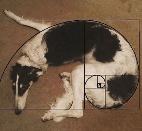 Preview of 2884-jpeg-3fc4b9c1c0414108