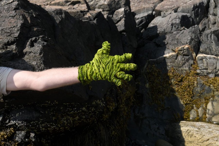 Preview of 1200x800-jpeg