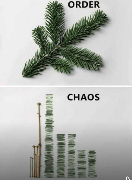 Preview of fd08043841c6-png