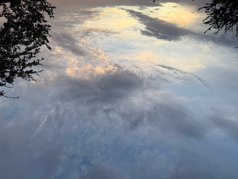 Preview of 2097-jpg-cf86f1dacb514525