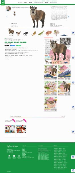 Preview of 3-jpeg-5e4d6d727bcd452c