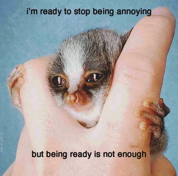 Preview of c-jpeg-e4e98c70bf7841d7