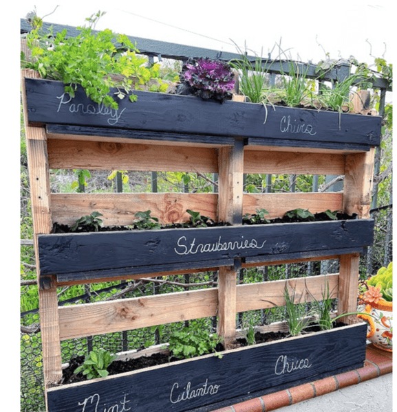 Thumbnail of DIY Pallet Herb Garden