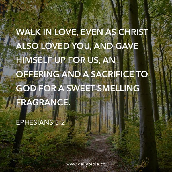 Preview of 4577831e9705-jpg