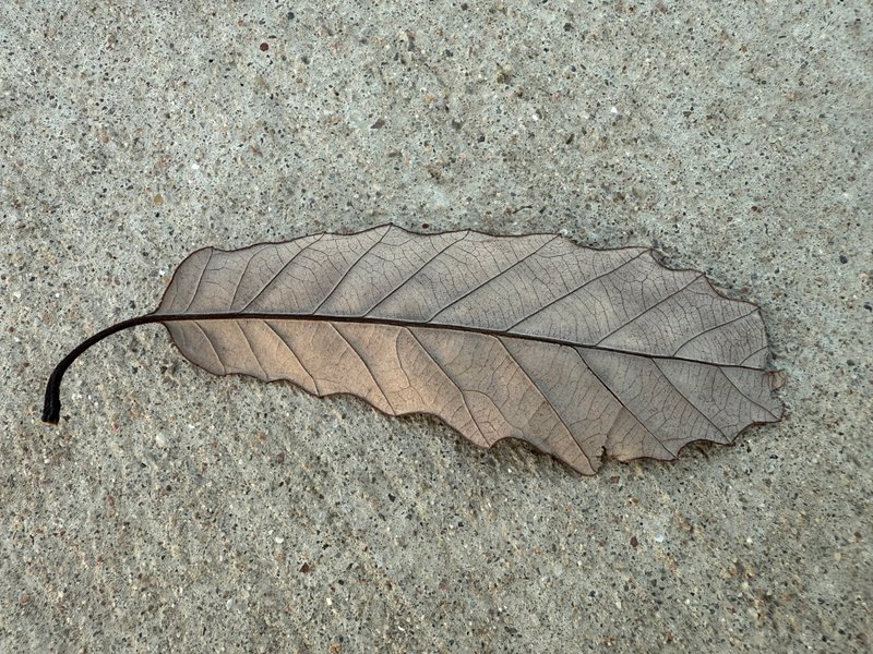 Preview of cd73805de359-jpg