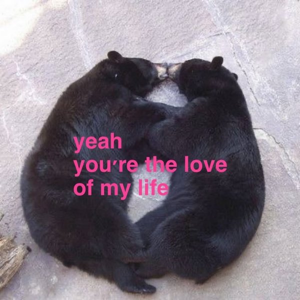 Preview of 2733-jpeg