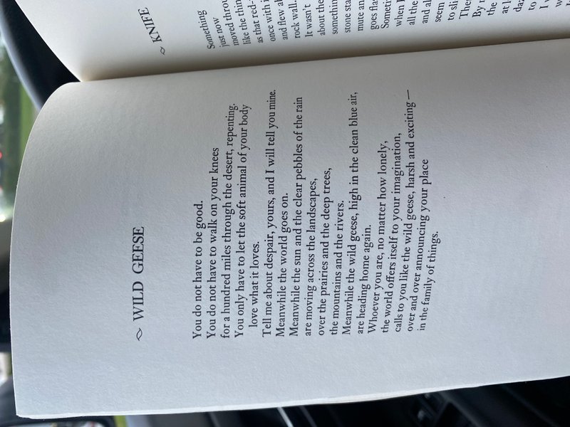 Preview of 0254-jpeg