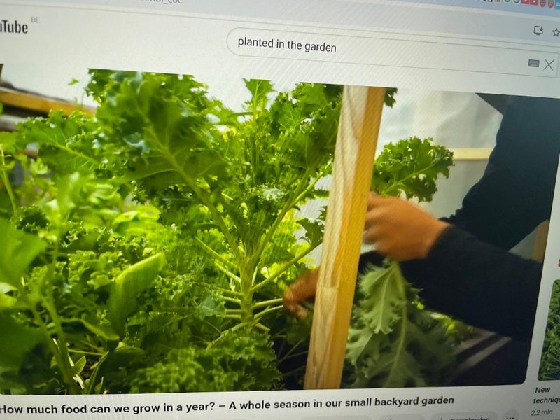 Preview of image-jpeg-625e4cb0633f4f9f