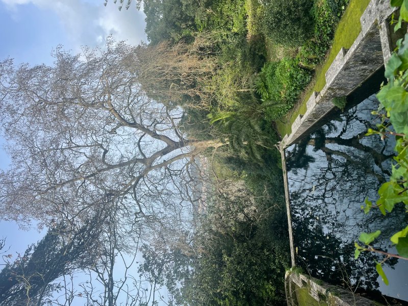 Preview of 2789-jpeg