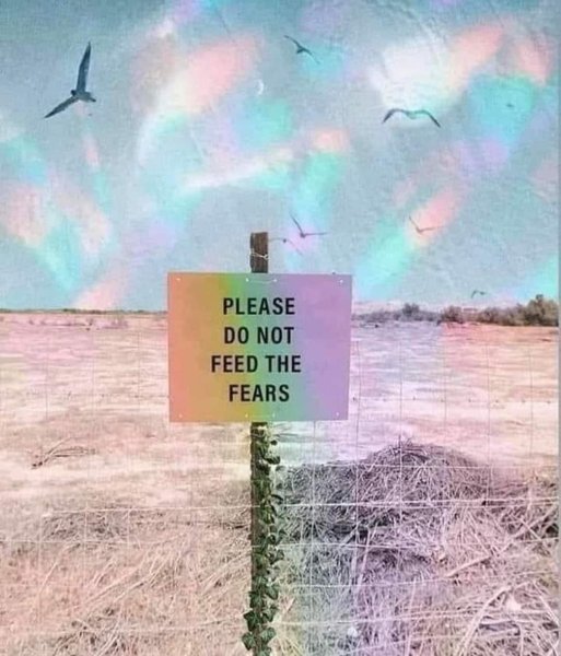 Preview of 20a65378a307-jpg