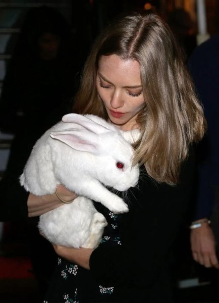 Preview of 5bc9e3f2d263434a929d481c44c38199-jpeg