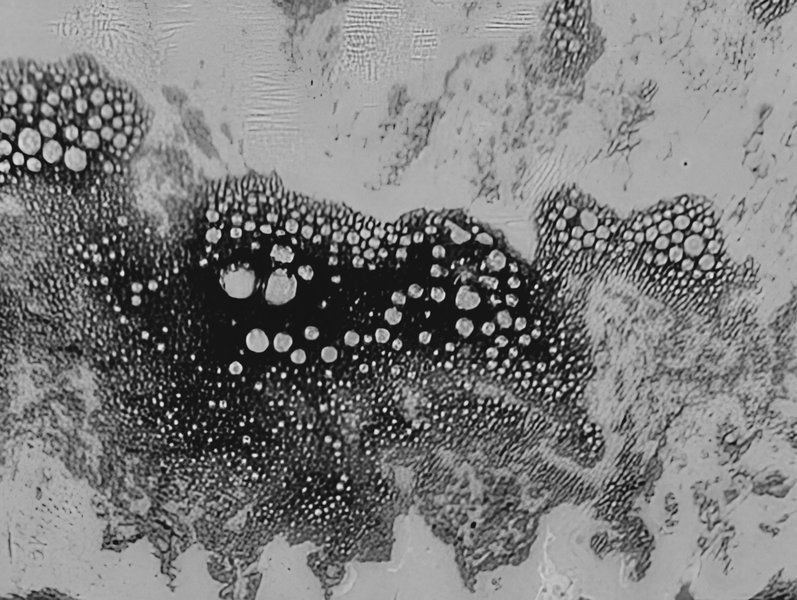 Preview of 0bbe92d3-jpeg