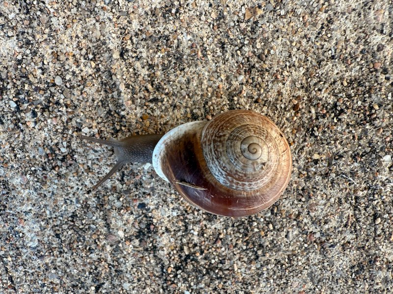 Preview of fbc28b84007e-jpg