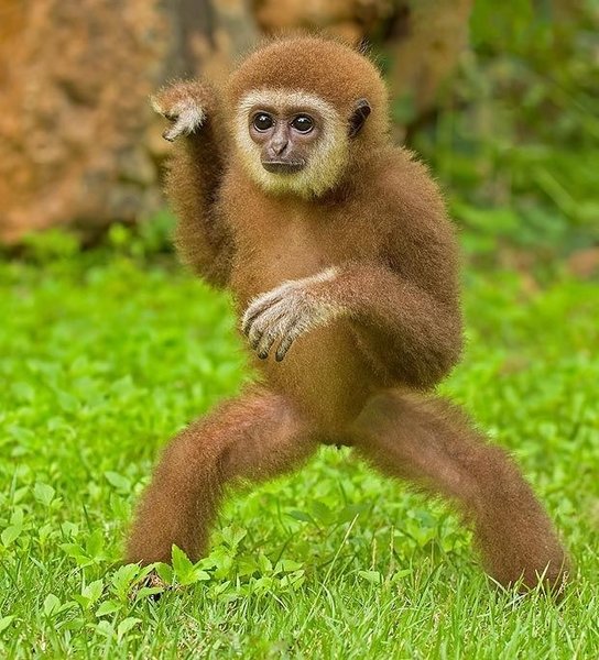 Preview of 5749-jpeg