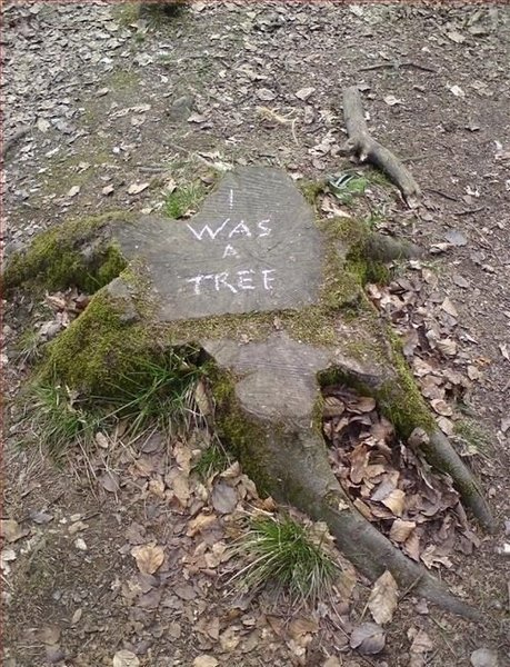 Preview of 0294-jpeg-71b41d6183454148