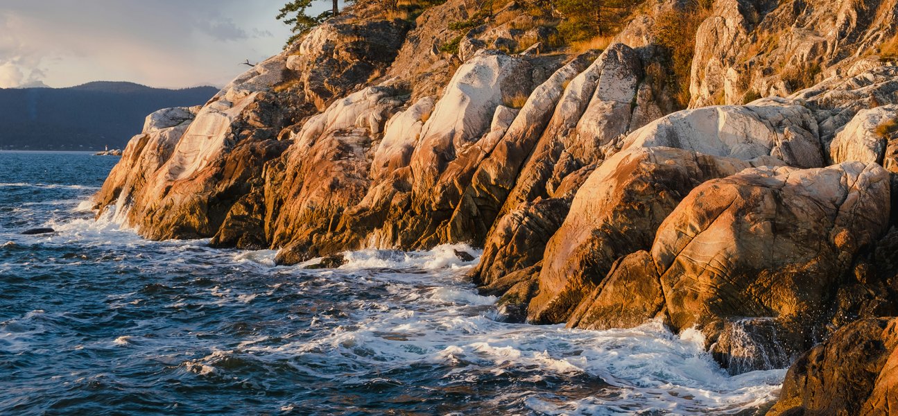 Preview of unsplash-jpeg-9339d521b24b4a1d