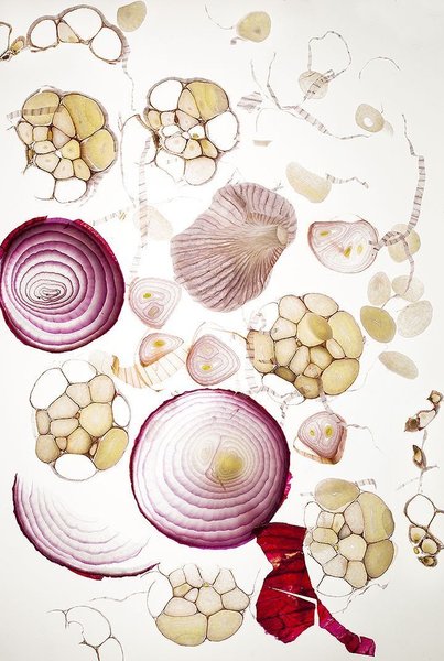 Preview of e00b9474795f7384d6cd468580966366-jpeg