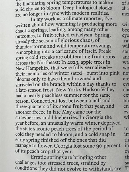 Preview of 2185-jpeg