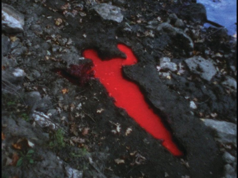 Preview of tldrawfile-6ee009e036834547