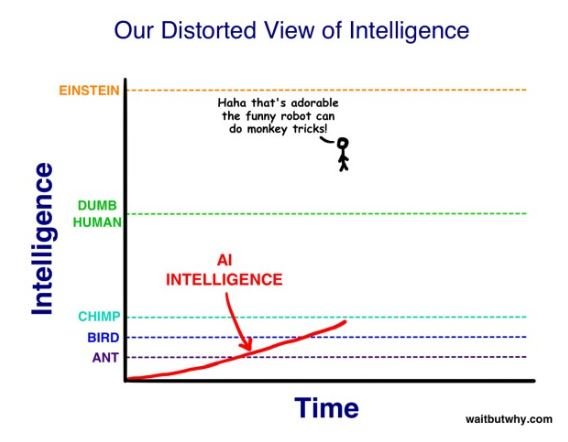 Preview of waitbutwhy1-jpeg