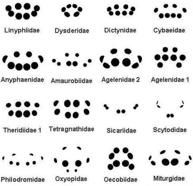 Preview of 021112-png