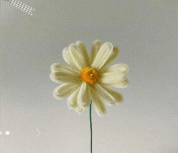 Thumbnail of Video