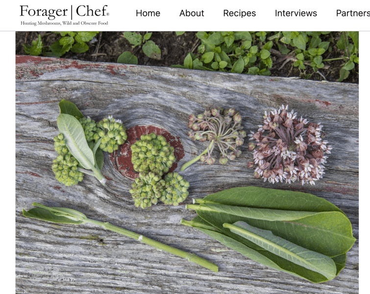 Thumbnail of Foraging and Cooking Milkweed