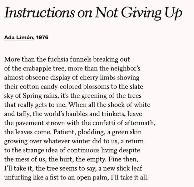 Preview of up-png-27301feaa24d4373