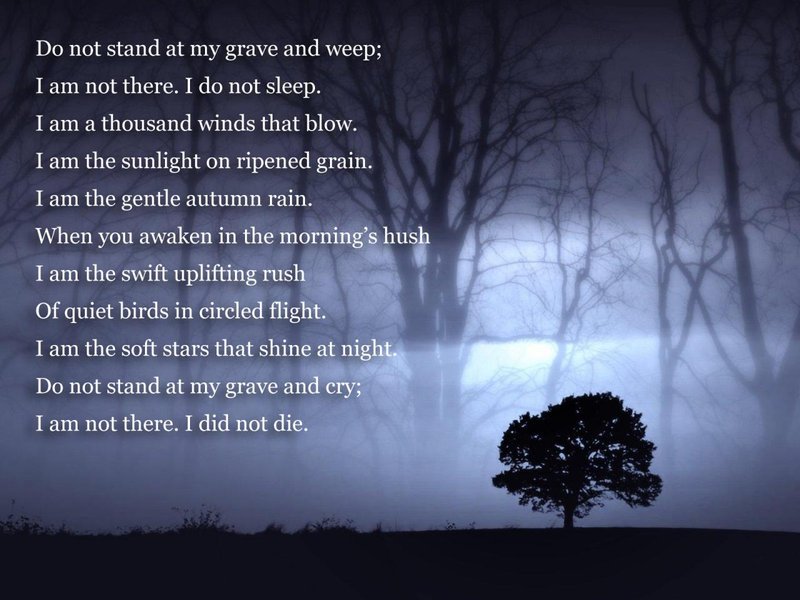 Preview of 1732810456992-jpeg