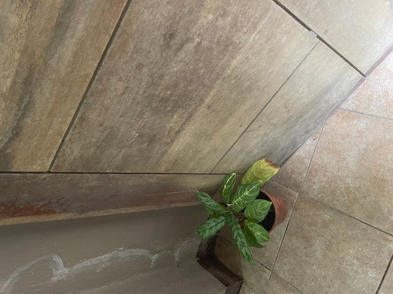 Preview of 5708-jpeg