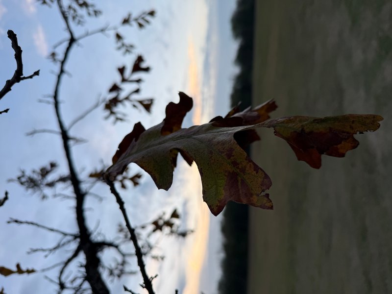 Preview of 8f5e5423c183-jpg