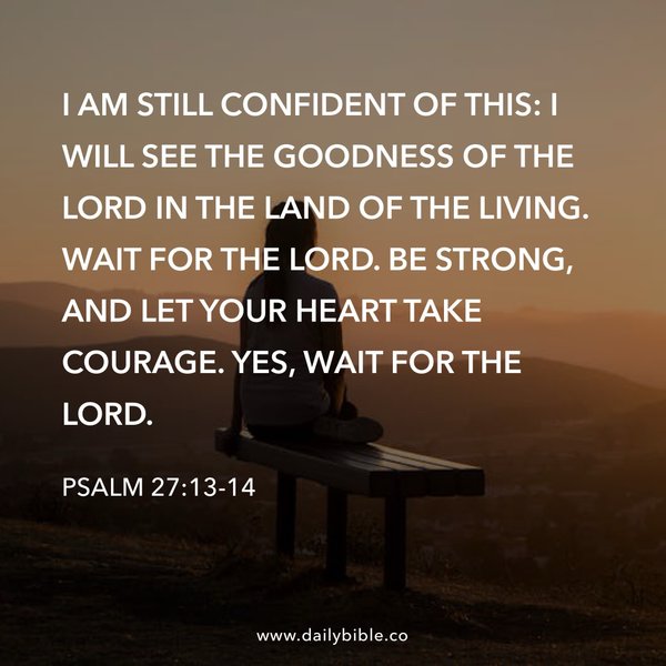 Preview of d1608fbf3323-jpg