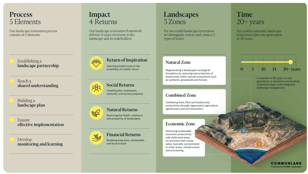 Thumbnail of 4 Returns framework