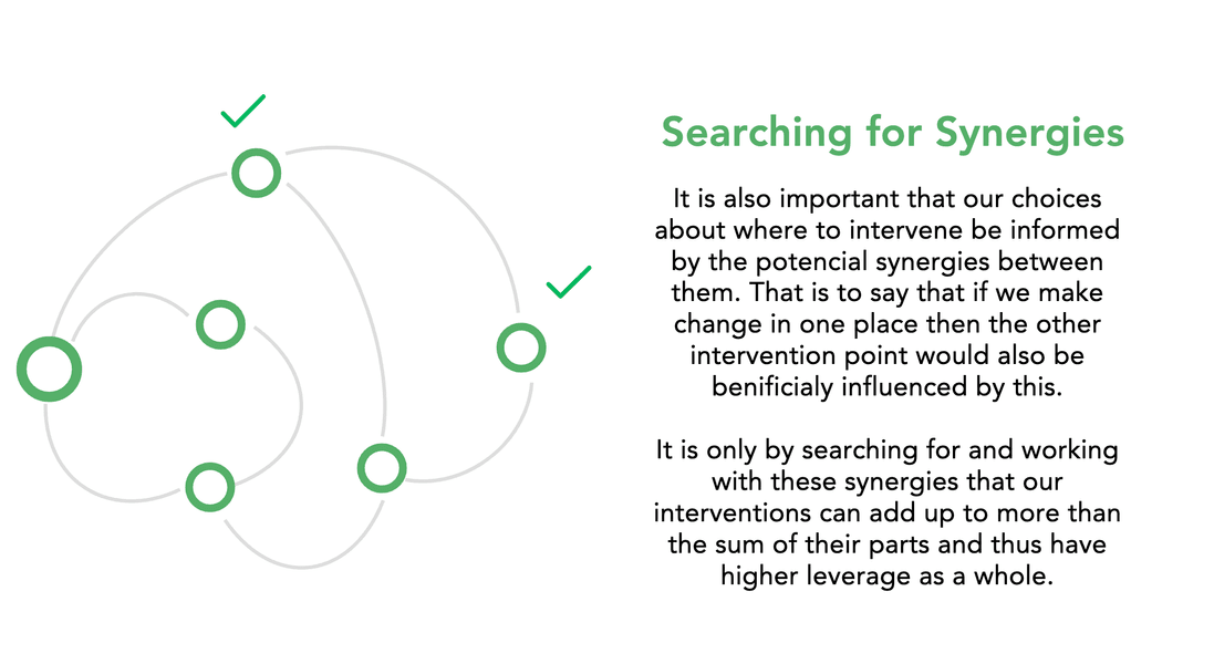 Thumbnail of Leverage Points Si Guide Series