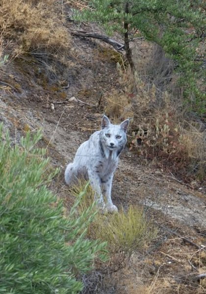 Preview of 43d4555aa8f9-jpg