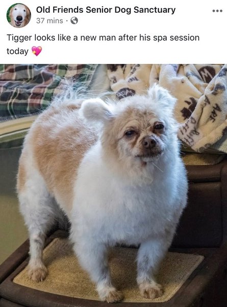 Preview of 5821-jpeg-1e4e8319061449bf