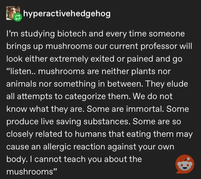 Preview of 49-jpg-be7f145b59f24dd1