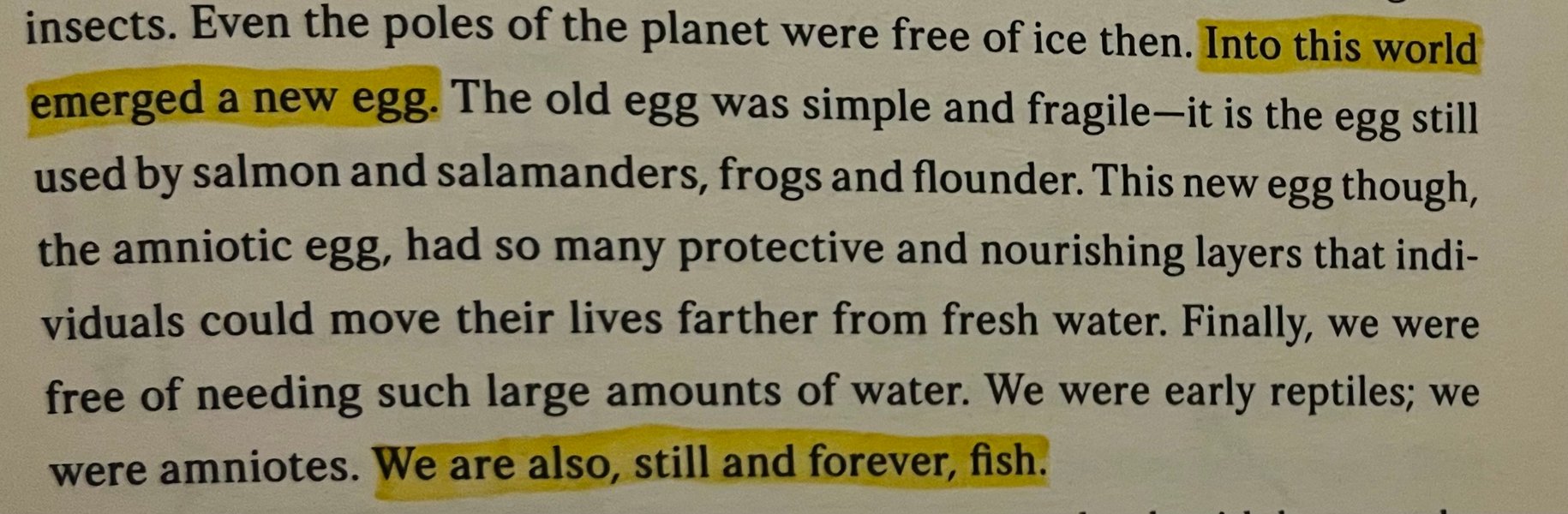 Preview of 6039-jpeg