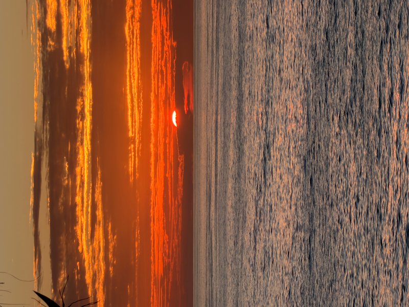 Preview of 0440-jpeg