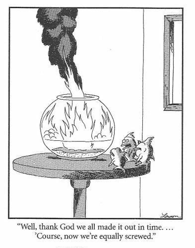 Preview of b48573261f52-jpg