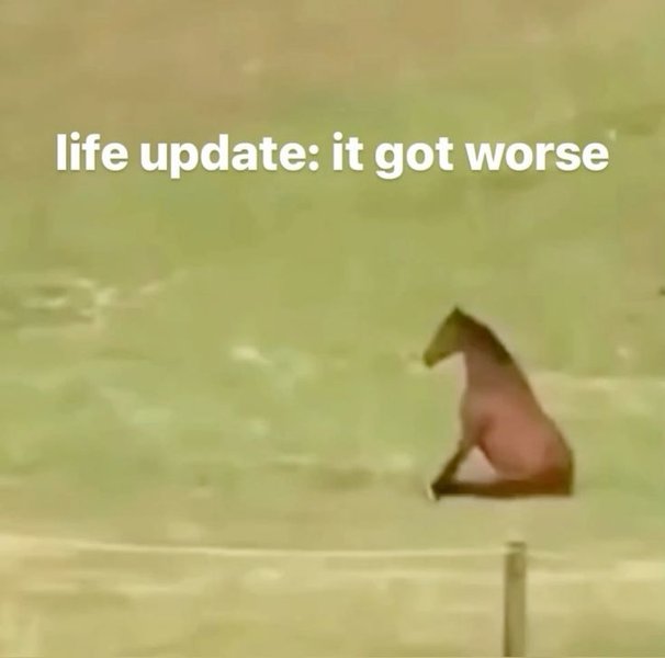 Preview of 42-jpeg-7fe9f44b73cd452d