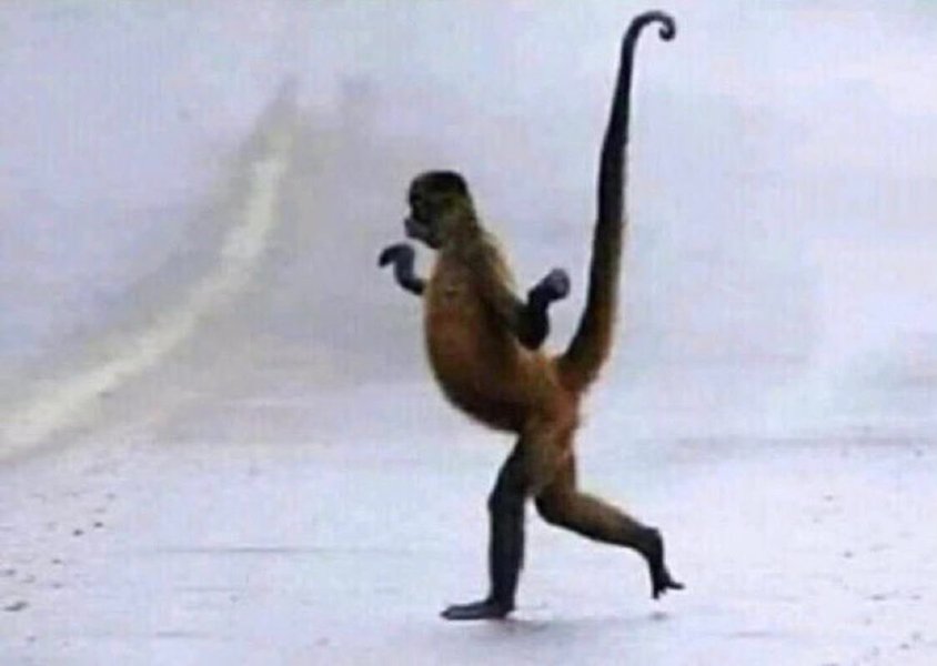 Preview of 5490-jpeg