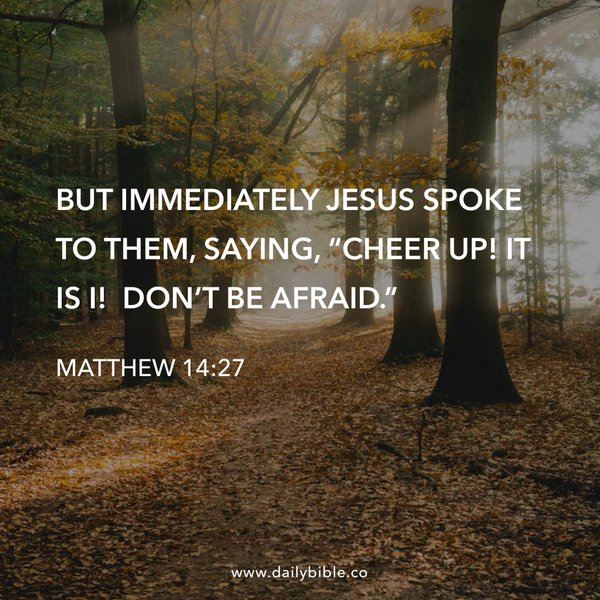 Preview of b41a2f0a8e80-jpg