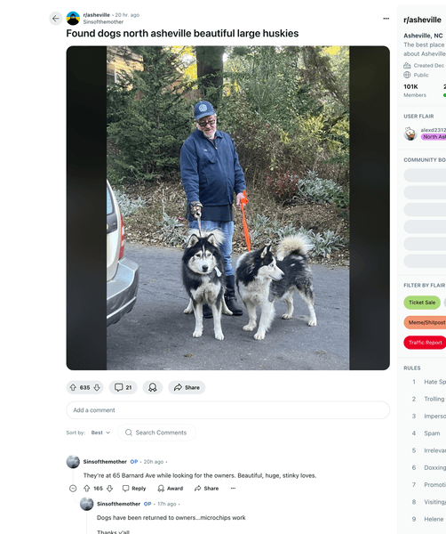 Thumbnail of Found dogs north asheville beautiful large huskies