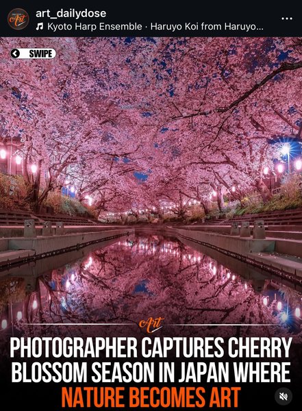 Preview of e8a5169cb637-jpg