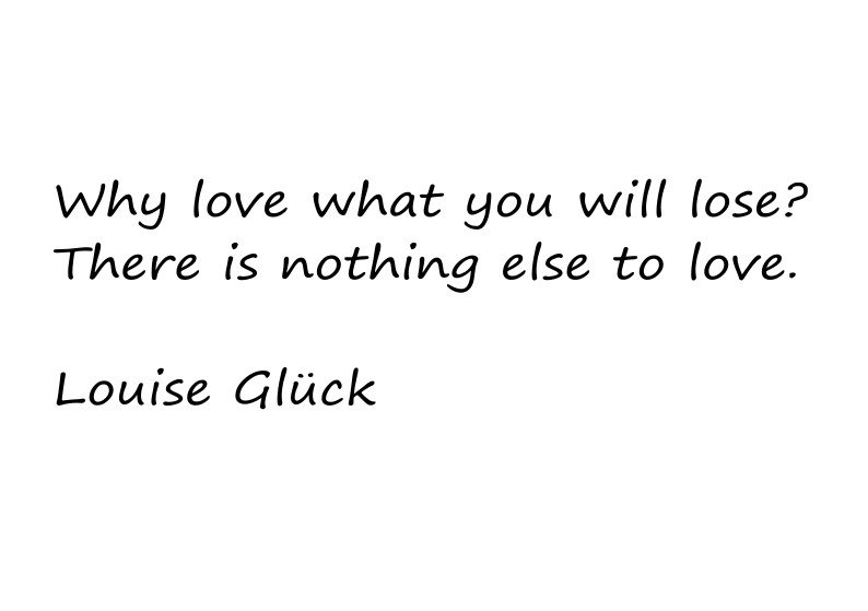 Preview of lose-jpeg