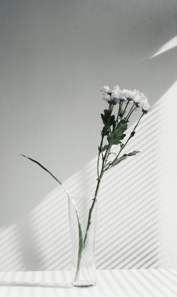 Preview of 08-jpg-1e898d6397c8415d