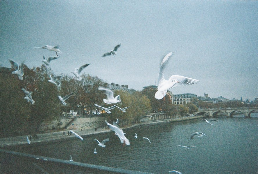 Preview of paris-jpeg