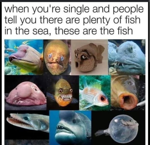Preview of sea-jpeg